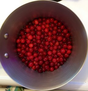 cranberries pot