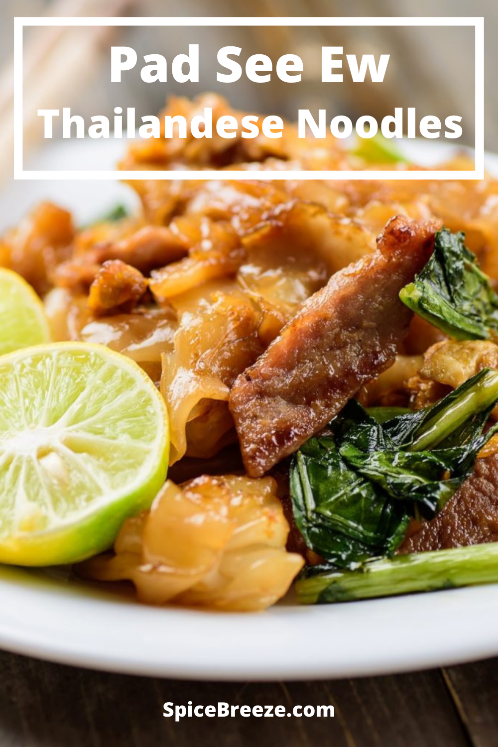 Thailandese Pad See Ew | SpiceBreeze