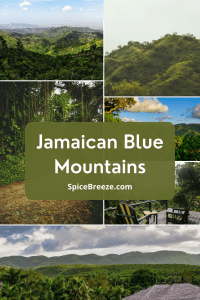 Jamaican Blue Mountains