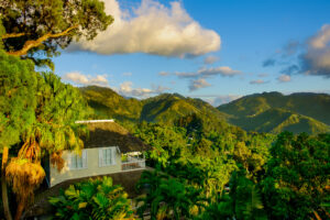 Jamaican Blue Mountains [copyright ericlaudonien - 123rf