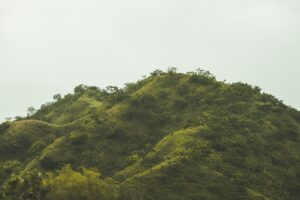 Jamaican Blue Mountains [marc-babin - unsplash]