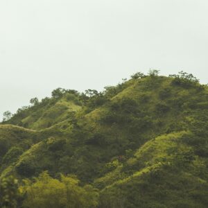 Jamaican Blue Mountains [marc-babin - unsplash] - sq