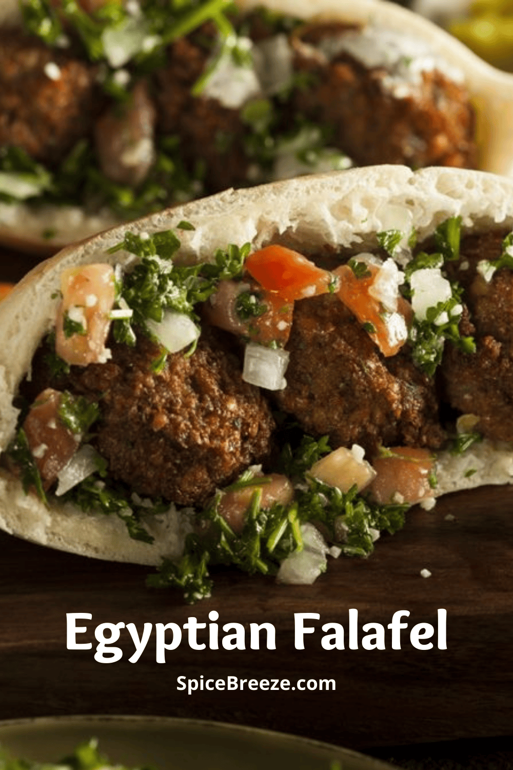 Egyptian Falafel SpiceBreeze