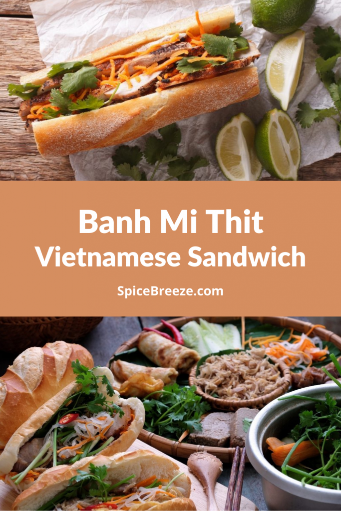 Vietnamese Banh Mi Thit