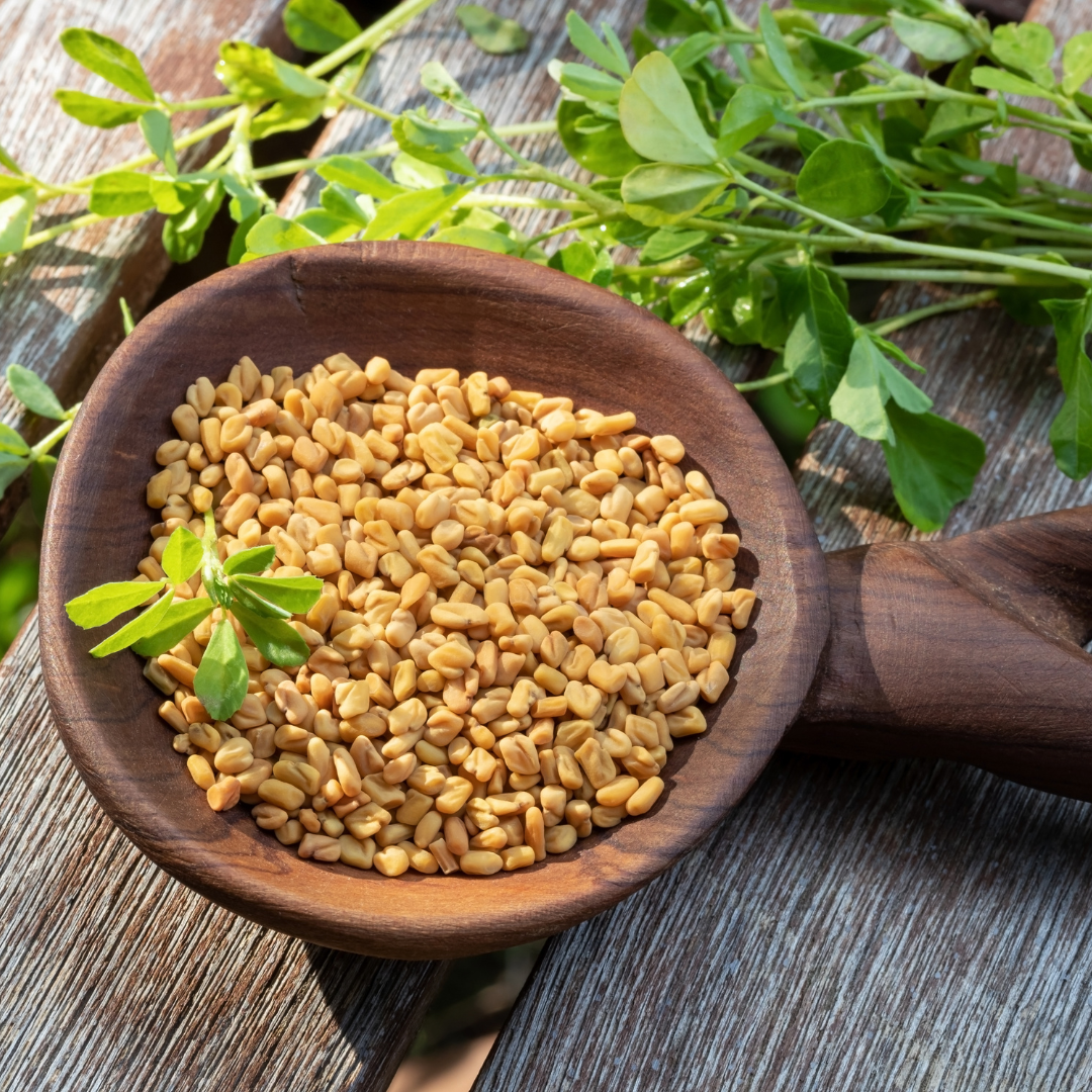 Fenugreek Seeds Leaves At JENENGE Blog