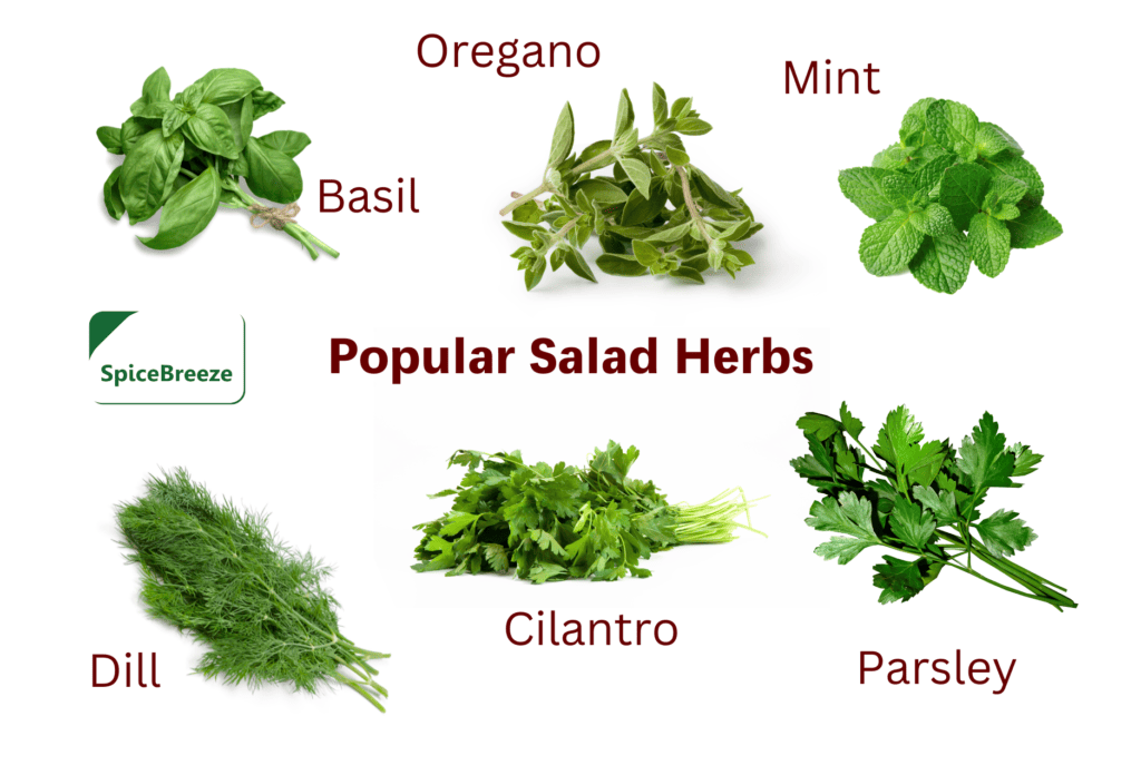 Popular Salad Herbs