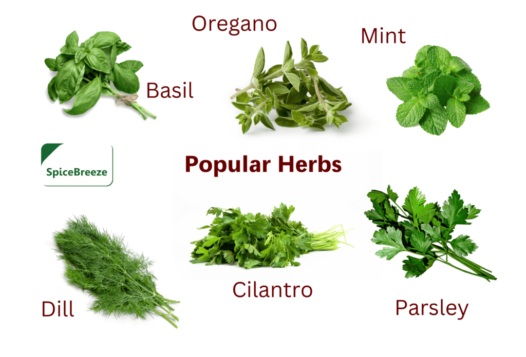 Popular Herbs