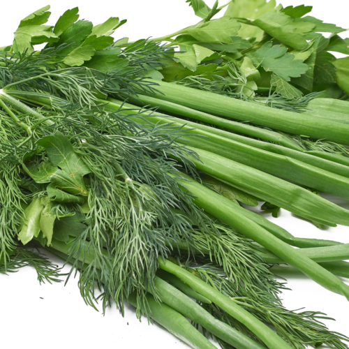 herbs and green onions