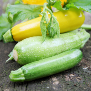 zucchini and yellow squash