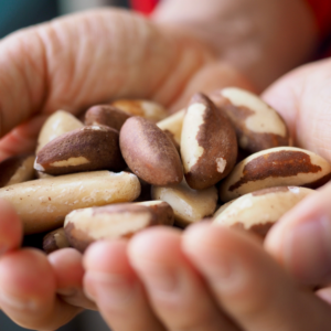 Brazil nuts in hand