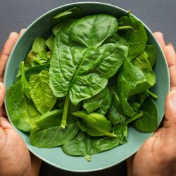 baby spinach